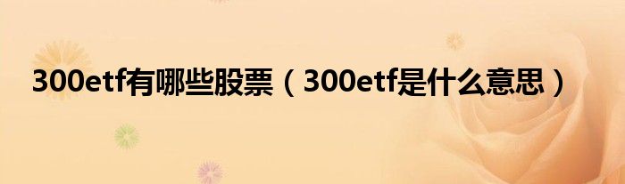 300etf有哪些股票（300etf是什么意思）