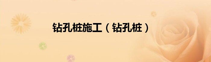 钻孔桩施工（钻孔桩）