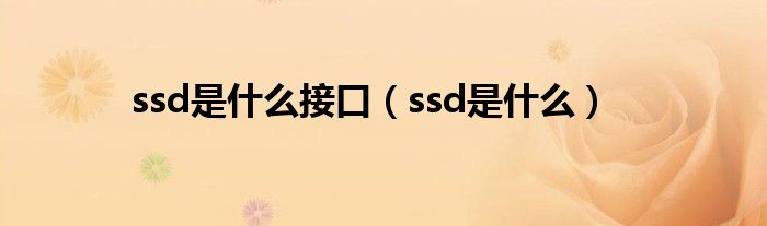 ssd是什么接口（ssd是什么）