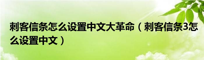 刺客信条怎么设置中文大革命（刺客信条3怎么设置中文）