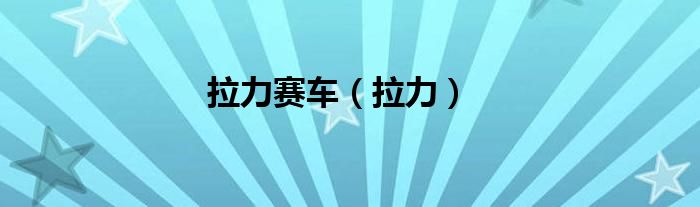 拉力赛车（拉力）