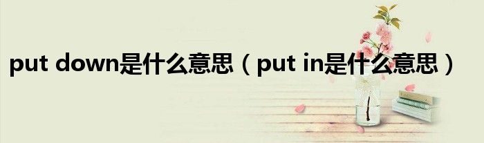 put down是什么意思（put in是什么意思）