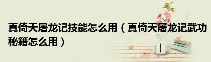 真倚天屠龙记技能怎么用（真倚天屠龙记武功秘籍怎么用）