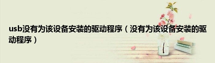 usb没有为该设备安装的驱动程序（没有为该设备安装的驱动程序）