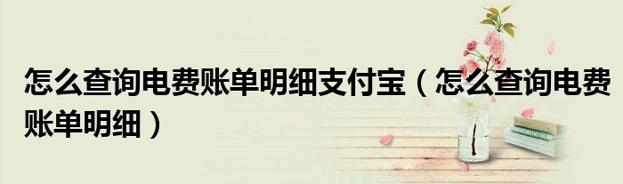 怎么查询电费账单明细支付宝（怎么查询电费账单明细）