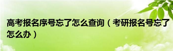高考报名序号忘了怎么查询（考研报名号忘了怎么办）