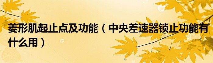 菱形肌起止点及功能（中央差速器锁止功能有什么用）