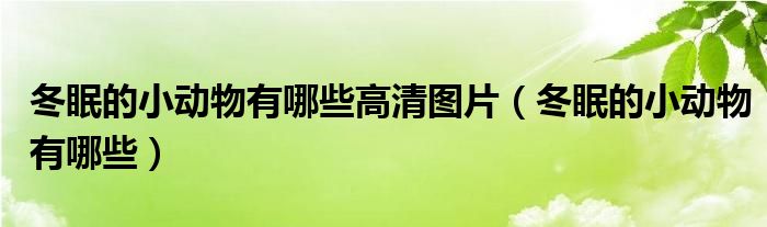 冬眠的小动物有哪些高清图片（冬眠的小动物有哪些）