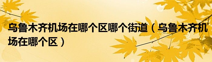 乌鲁木齐机场在哪个区哪个街道（乌鲁木齐机场在哪个区）