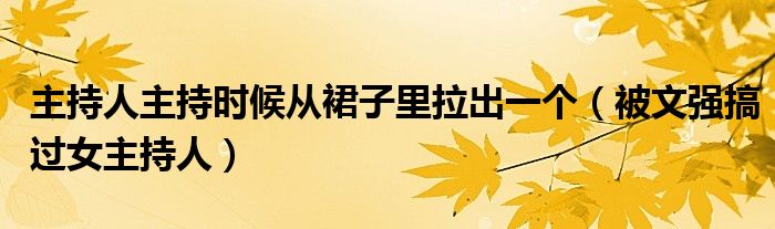 主持人主持时候从裙子里拉出一个（被文强搞过女主持人）