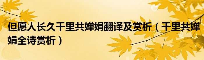但愿人长久千里共婵娟翻译及赏析（千里共婵娟全诗赏析）