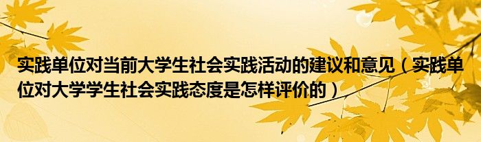 实践单位对当前大学生社会实践活动的建议和意见（实践单位对大学学生社会实践态度是怎样评价的）