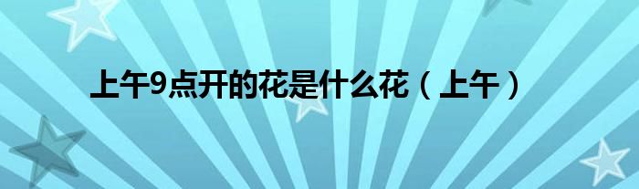 上午9点开的花是什么花（上午）