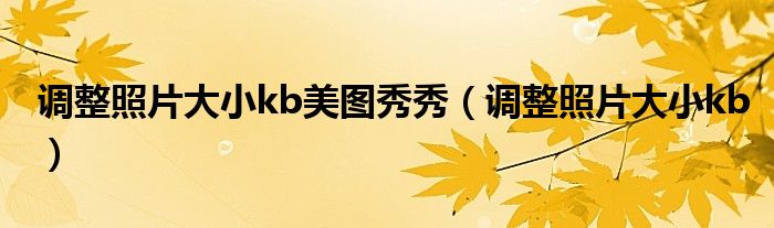 调整照片大小kb美图秀秀（调整照片大小kb）