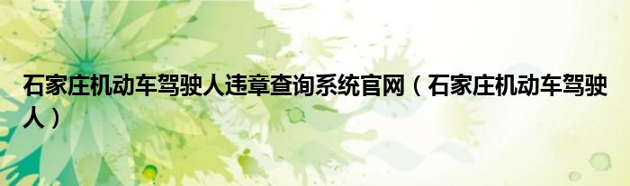 石家庄机动车驾驶人违章查询系统官网（石家庄机动车驾驶人）