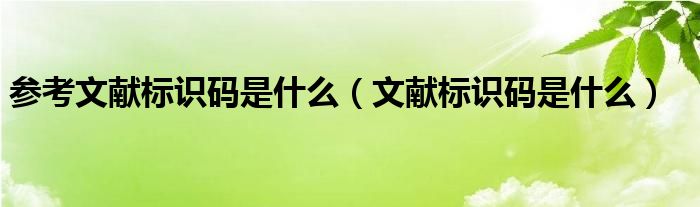 参考文献标识码是什么（文献标识码是什么）