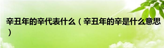 辛丑年的辛代表什么（辛丑年的辛是什么意思）