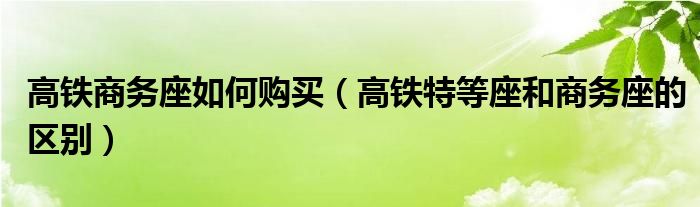 高铁商务座如何购买（高铁特等座和商务座的区别）