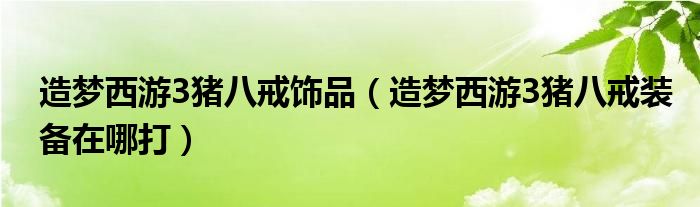造梦西游3猪八戒饰品（造梦西游3猪八戒装备在哪打）