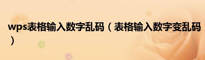 wps表格输入数字乱码（表格输入数字变乱码）
