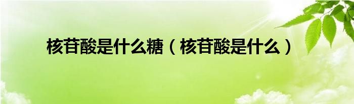 核苷酸是什么糖（核苷酸是什么）