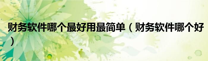 财务软件哪个最好用最简单（财务软件哪个好）