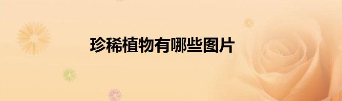 珍稀植物有哪些图片