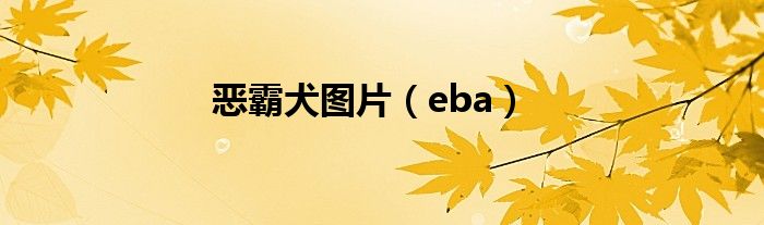 恶霸犬图片（eba）