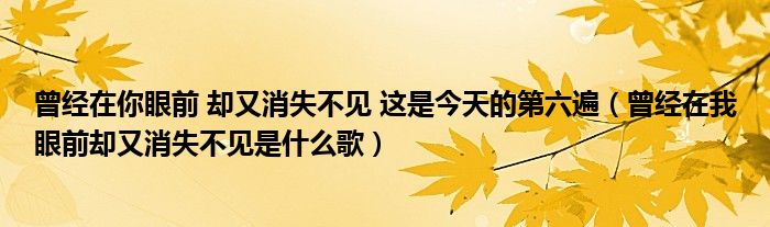 曾经在你眼前 却又消失不见 这是今天的第六遍（曾经在我眼前却又消失不见是什么歌）