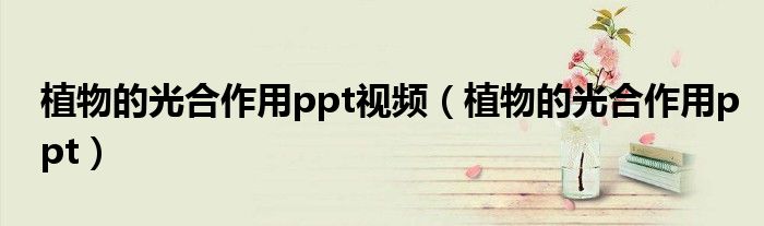 植物的光合作用ppt视频（植物的光合作用ppt）