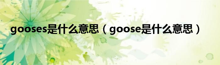 gooses是什么意思（goose是什么意思）