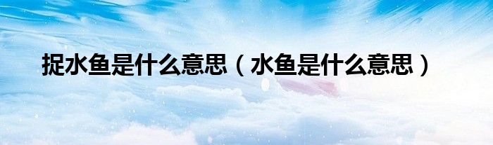 捉水鱼是什么意思（水鱼是什么意思）