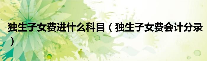 独生子女费进什么科目（独生子女费会计分录）
