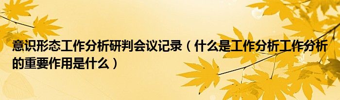 意识形态工作分析研判会议记录（什么是工作分析工作分析的重要作用是什么）