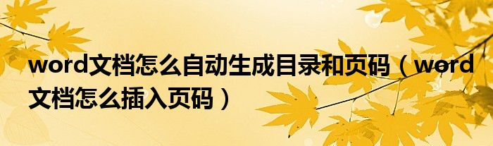 word文档怎么自动生成目录和页码（word文档怎么插入页码）