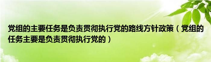 党组的主要任务是负责贯彻执行党的路线方针政策（党组的任务主要是负责贯彻执行党的）