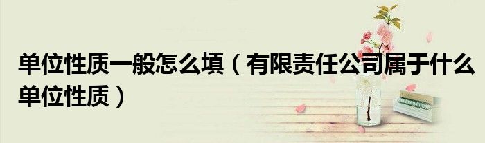 单位性质一般怎么填（有限责任公司属于什么单位性质）