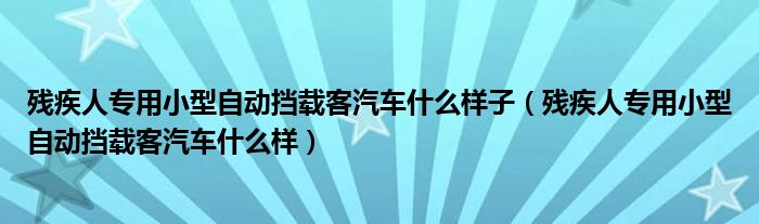 残疾人专用小型自动挡载客汽车什么样子（残疾人专用小型自动挡载客汽车什么样）