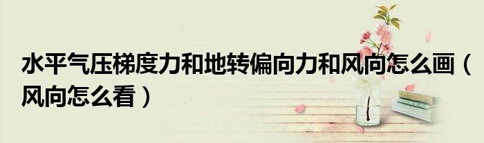 水平气压梯度力和地转偏向力和风向怎么画（风向怎么看）