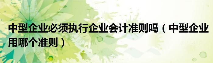中型企业必须执行企业会计准则吗（中型企业用哪个准则）