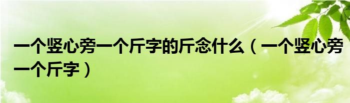 一个竖心旁一个斤字的斤念什么（一个竖心旁一个斤字）