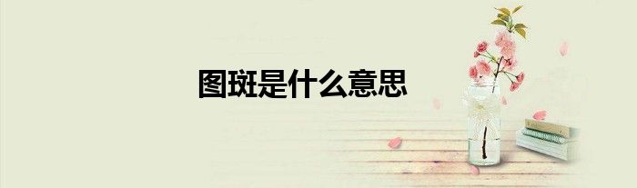 图斑是什么意思