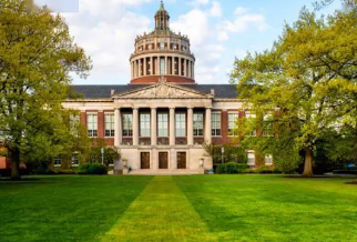 罗切斯特大学的研究人员发现了如何引导免疫细胞大军走向癌症