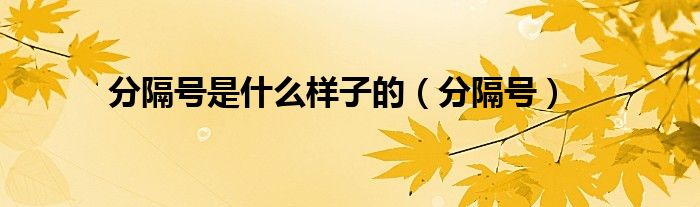 分隔号是什么样子的（分隔号）