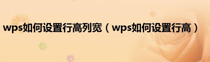wps如何设置行高列宽（wps如何设置行高）