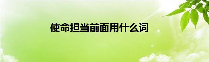 使命担当前面用什么词