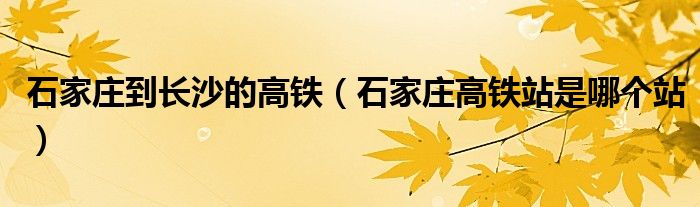 石家庄到长沙的高铁（石家庄高铁站是哪个站）