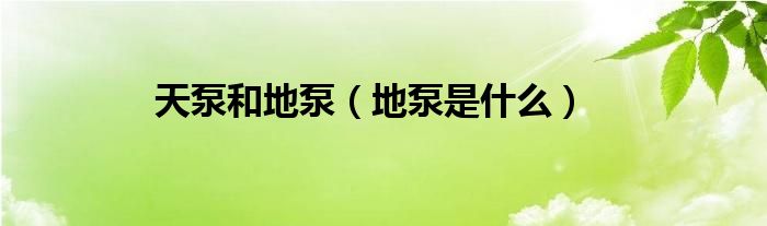 天泵和地泵（地泵是什么）