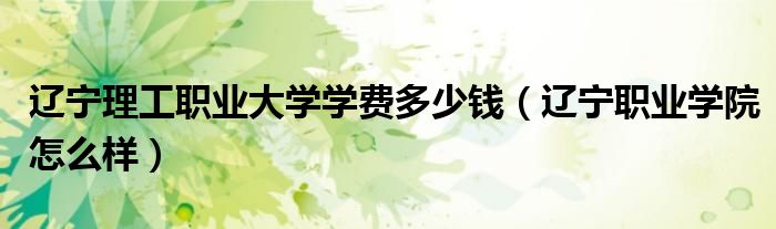 辽宁理工职业大学学费多少钱（辽宁职业学院怎么样）