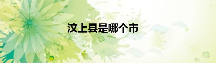 汶上县是哪个市